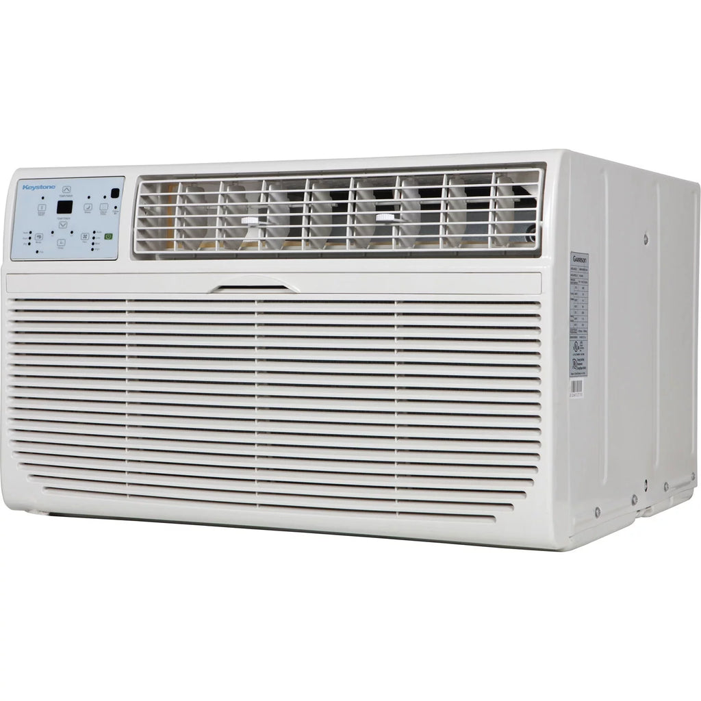 10,000 BTU 115-Volt Through-the-Wall Air Conditioner with Remote, White Y4676
