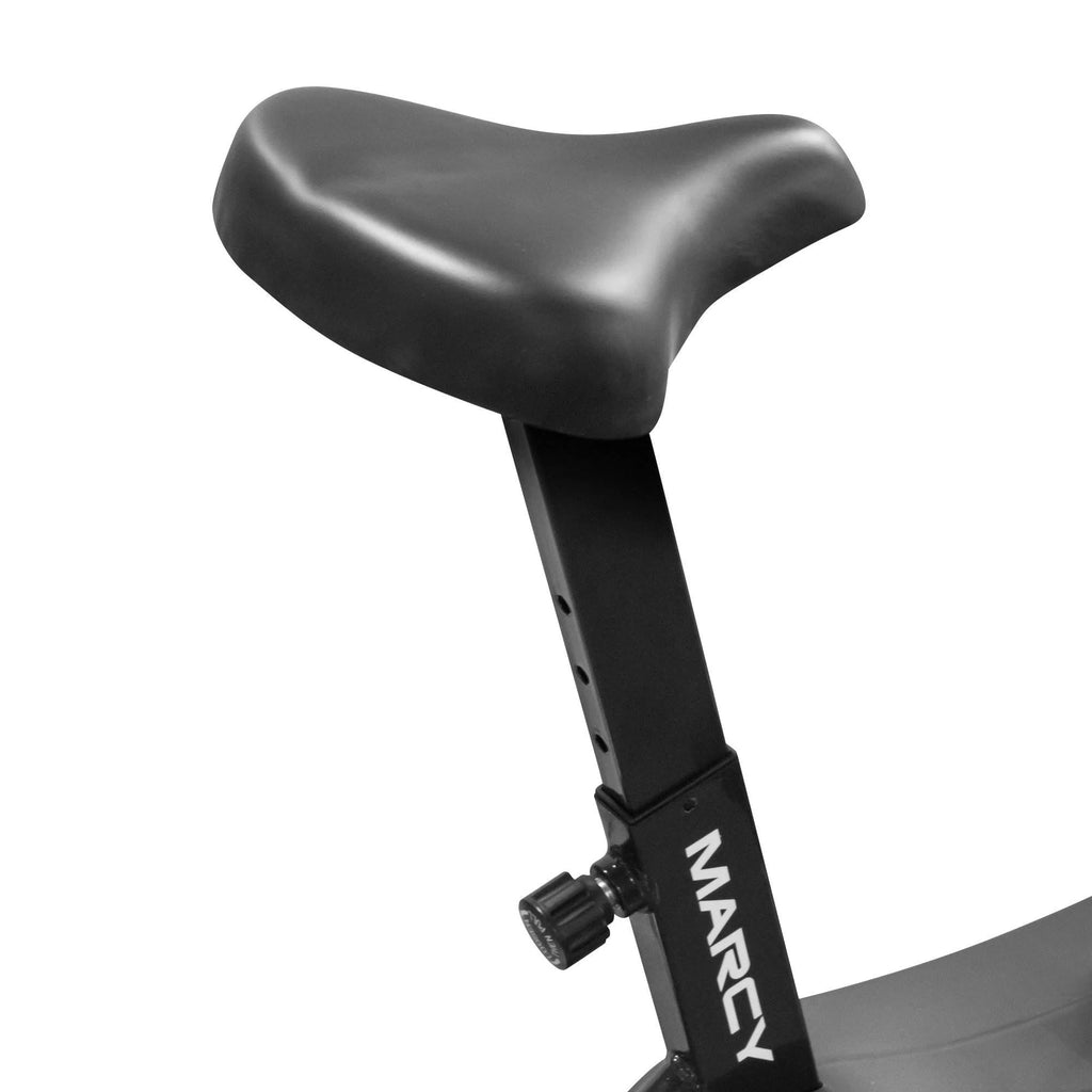 Fan Exercise Bike E15865