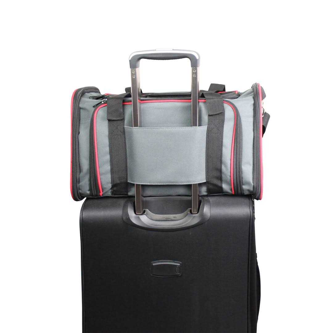 Soft-Sided Pet Carrier E484