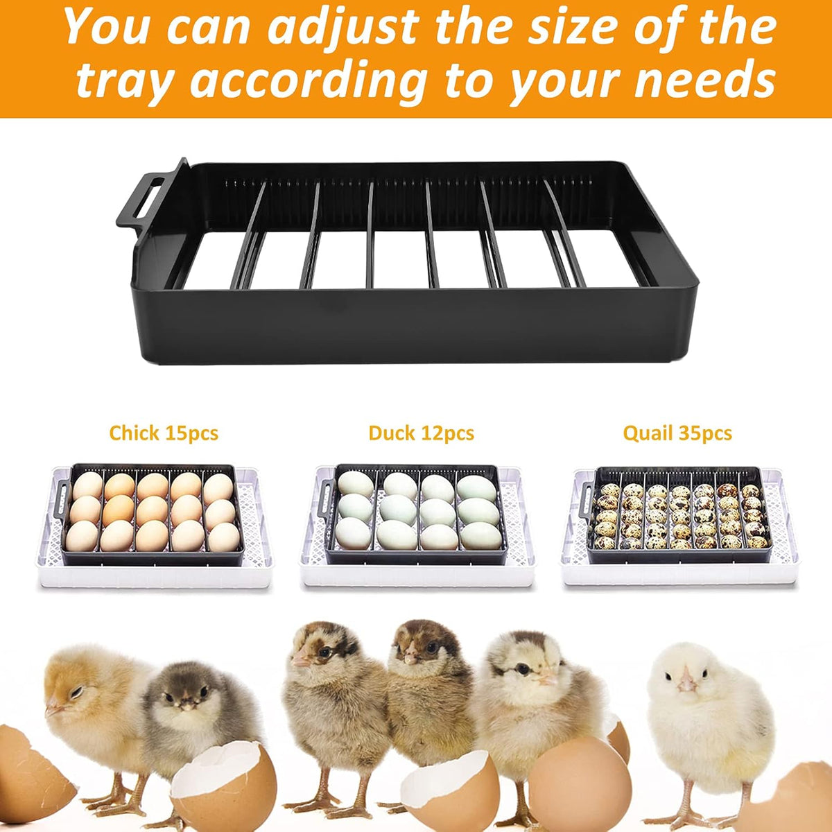 9-35 Digital Egg Incubator with Fully Automatic Turner, Humidity Control LED Candler Z474