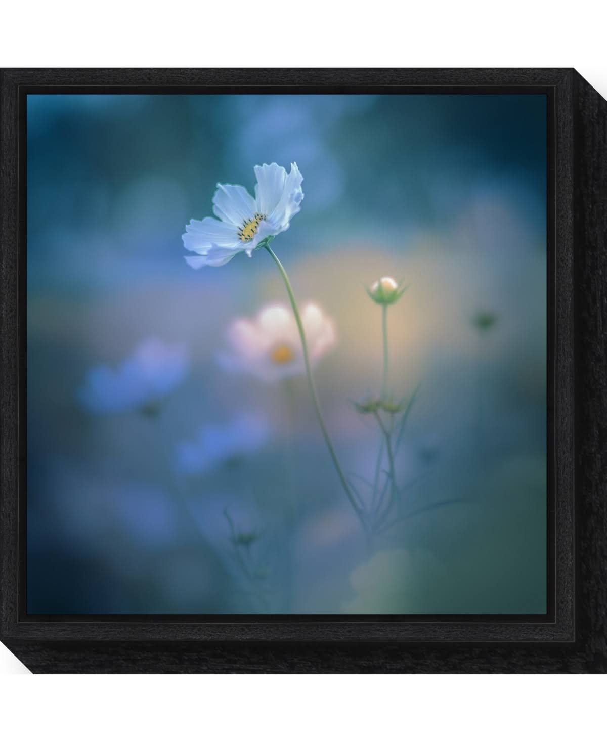 Canvas Art Framed White Shadow Black X102