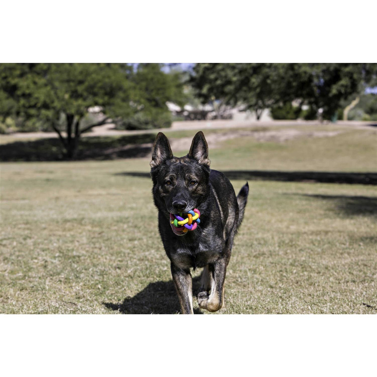 Dog Toy X39825
