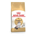 Adult Cat Food B478