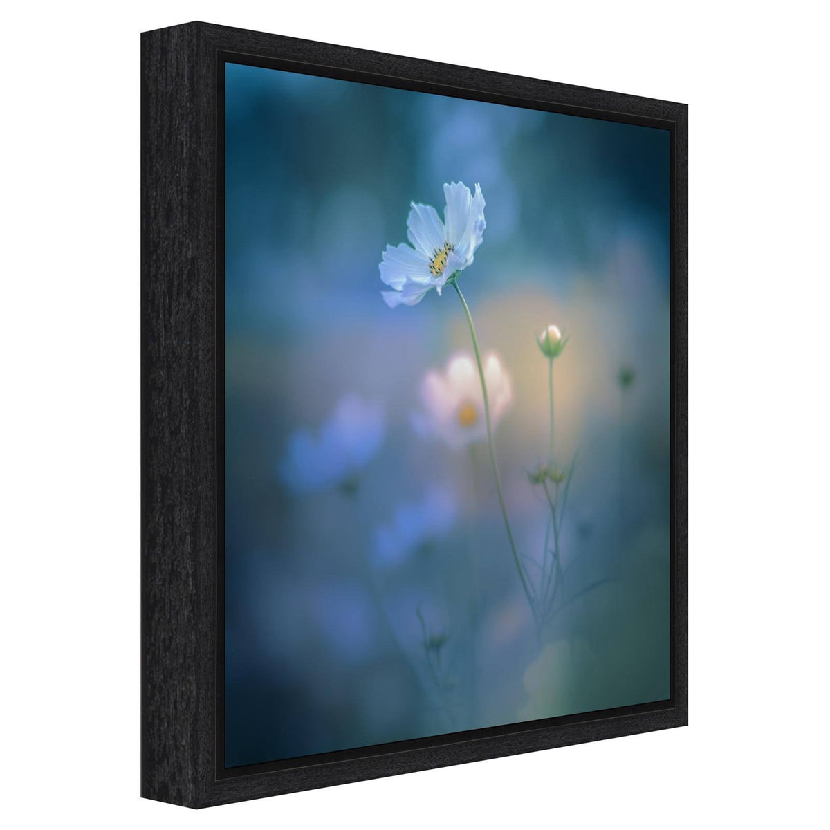 Canvas Art Framed White Shadow Black X102