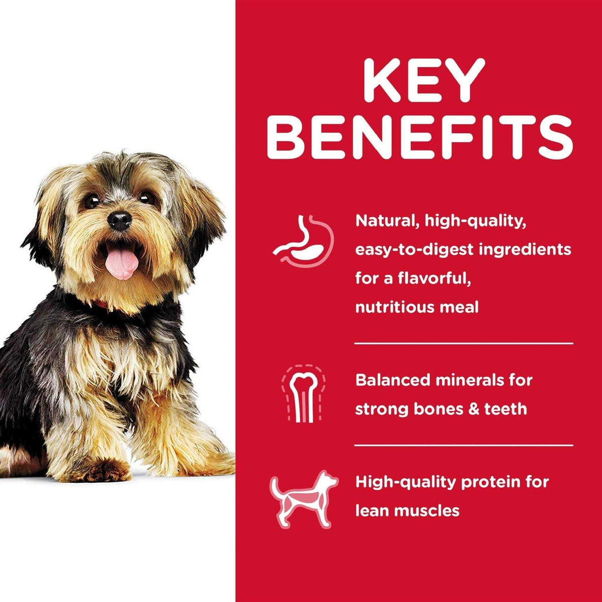 Wet Dog Food Variety Pack W76445