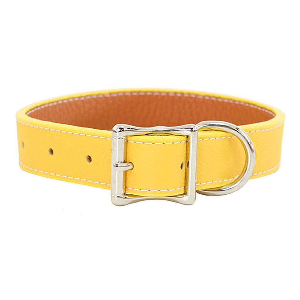 Leather Dog Collar G45760