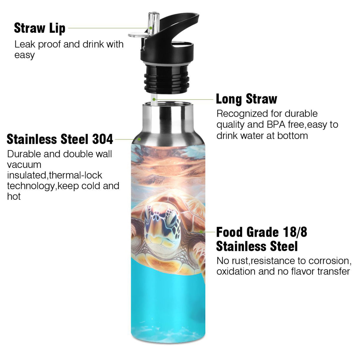 Insulated Stainless Steel Water Bottle with Straw Lid Leakproof 20 oz X799