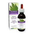 Motherwort Herb Alcohol-free Liquid Extract 4 fl oz H330
