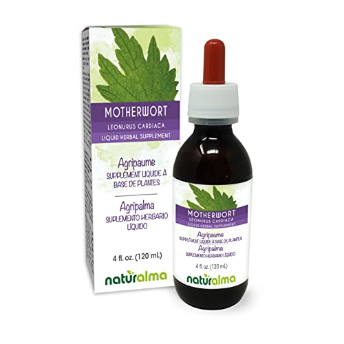 Motherwort Herb Alcohol-free Liquid Extract 4 fl oz H330