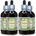 Cassia auriculata Alcohol-Free Liquid Extract Q157680