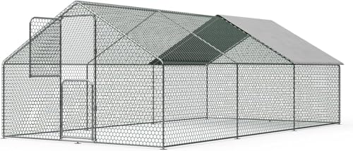 Large Walk in Metal Chicken Coop for 10 Chickens Z50552
