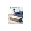 Light Brown Engineered Wood Coffee Table with Hidden Compartments R313