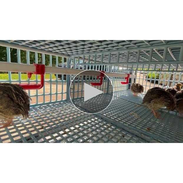 2 Section Quail Cage E838569