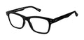 Reading Glasses D199