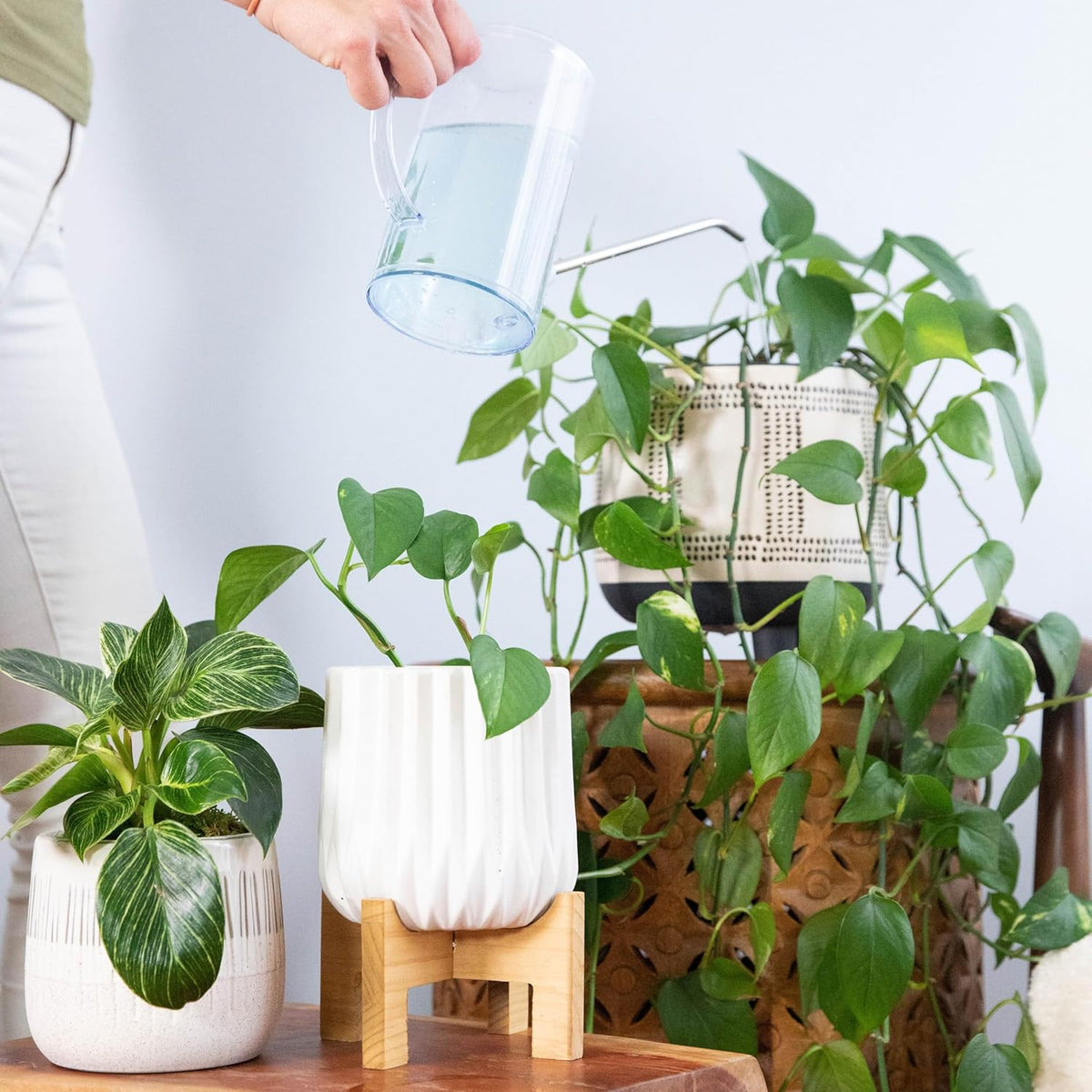4 Tablets Self-Dissolving Plant Food P59728