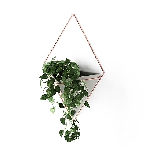 White-Nickel Wall Display Planter Pot K9432