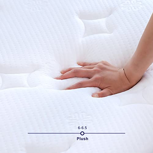 8" Natural Latex Full Mattress with Pocket Coil R495247