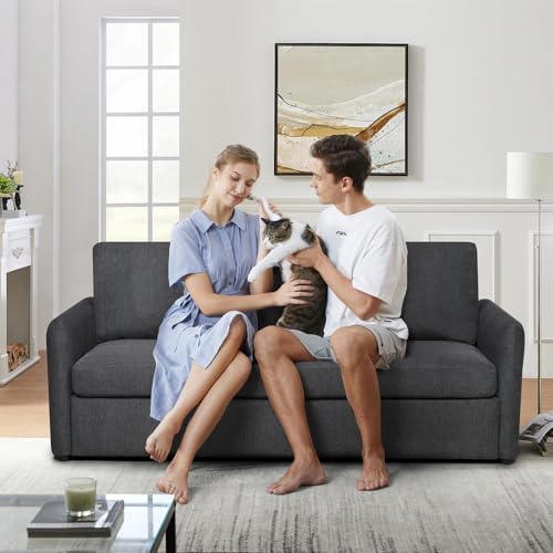 86.6" Queen Sleeper Sofa with Pullout Bed in Dark Grey Y77742