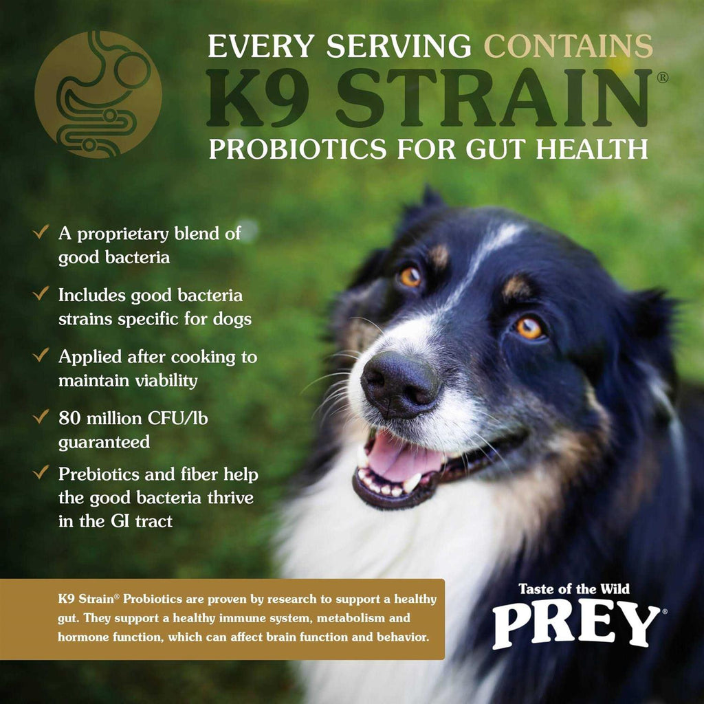 Prey Trout Dog Food B364