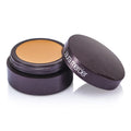 Secret Concealer - #2 2.2g/0.08oz U71345