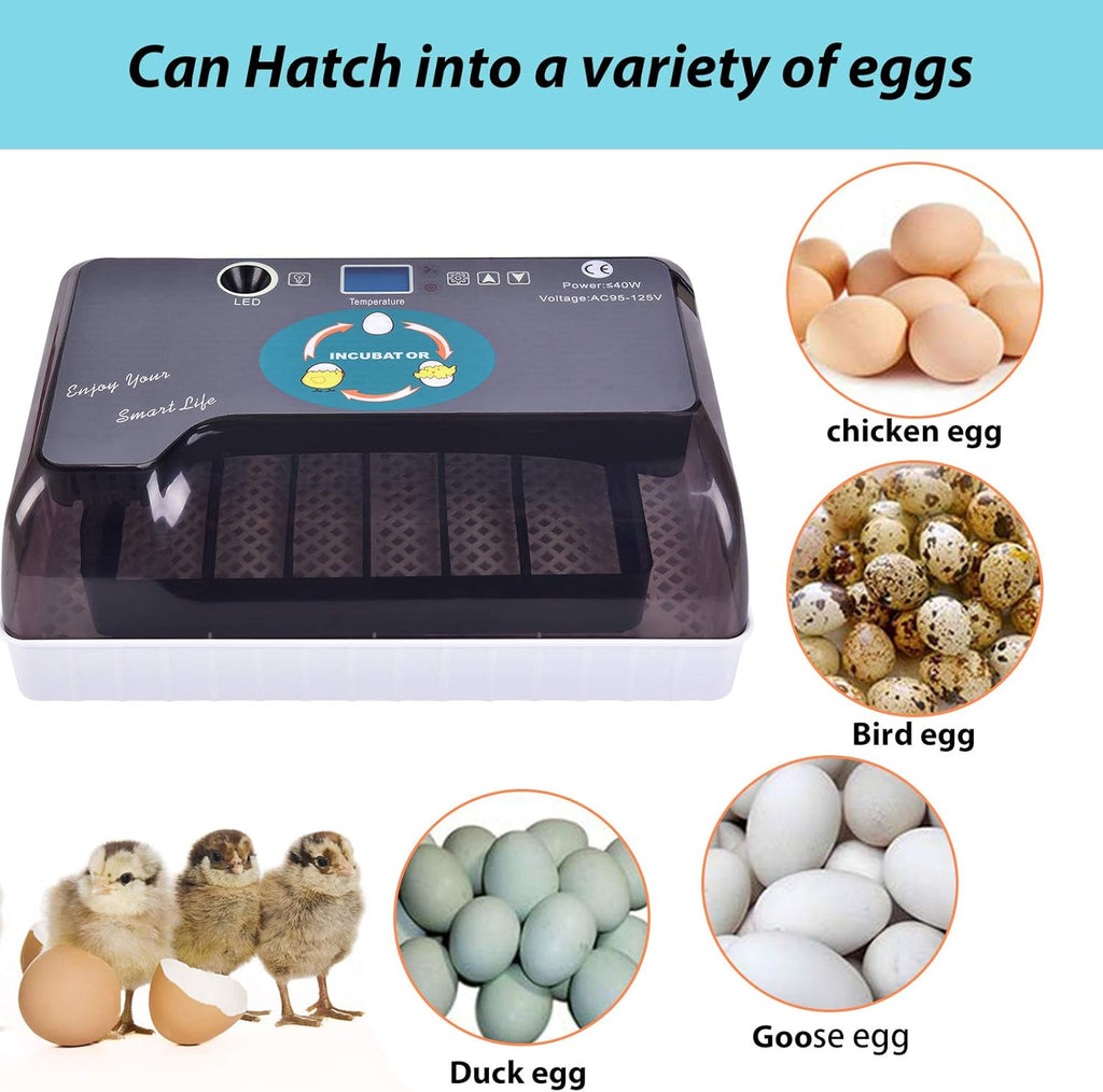 9-35 Digital Egg Incubator with Fully Automatic Turner, Humidity Control LED Candler Z474