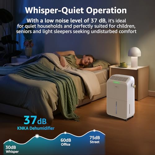 21 Pint Dehumidifier with Drain Hose W864