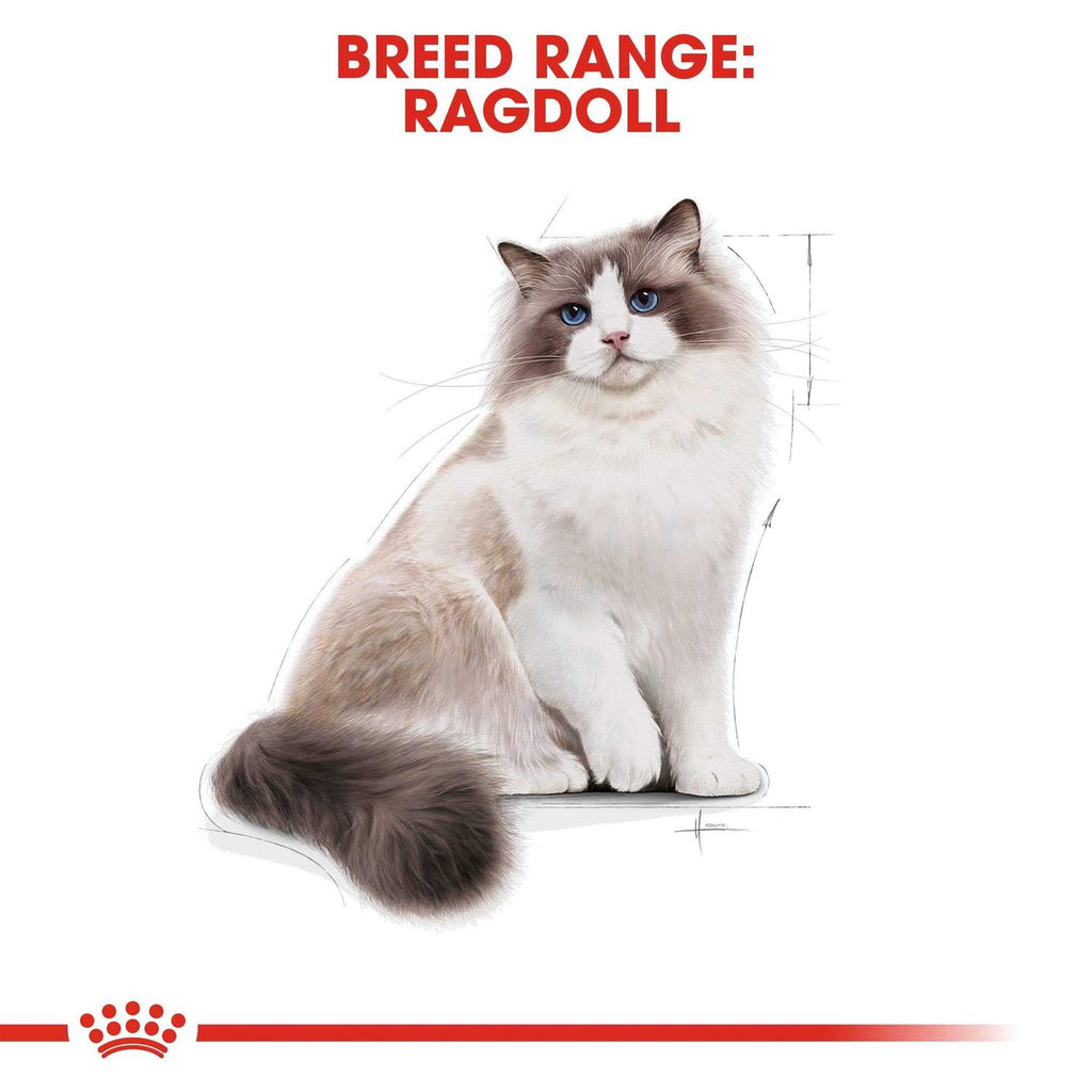 Adult Cat Food B478