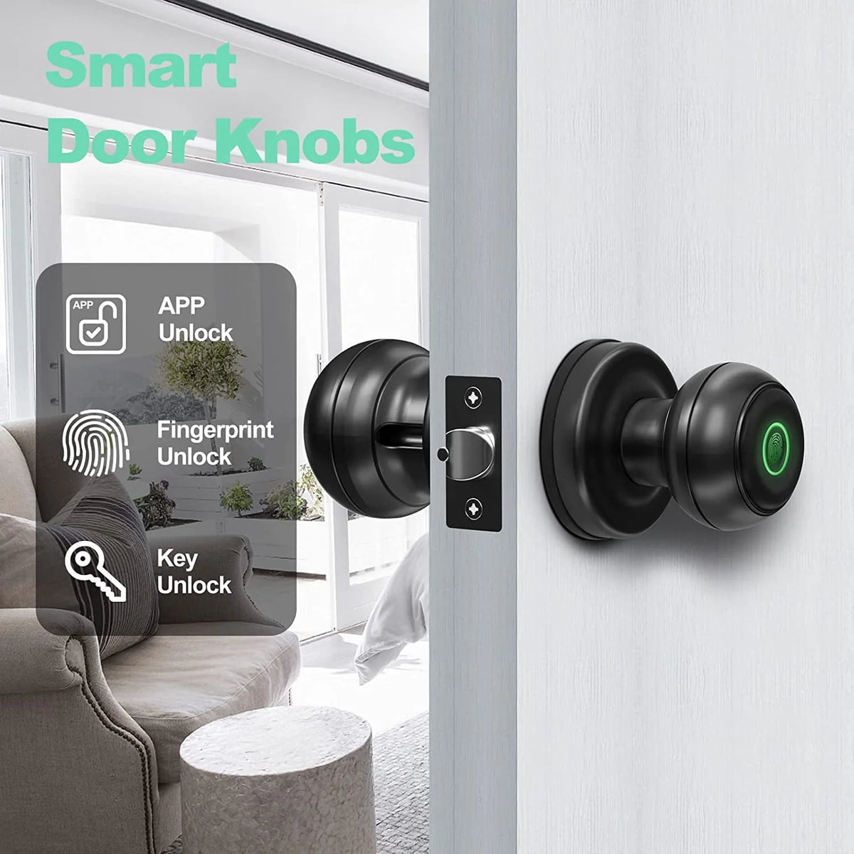 Smart Fingerprint Door Lock with App Control, Black F342