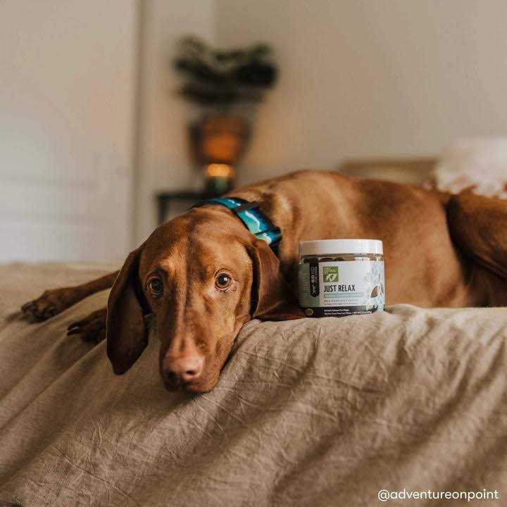 Herbal Calming Soft Chews R654628