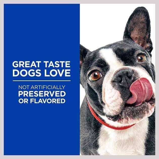 Baked Light Biscuits with Real Chicken Dog Treats Z869087
