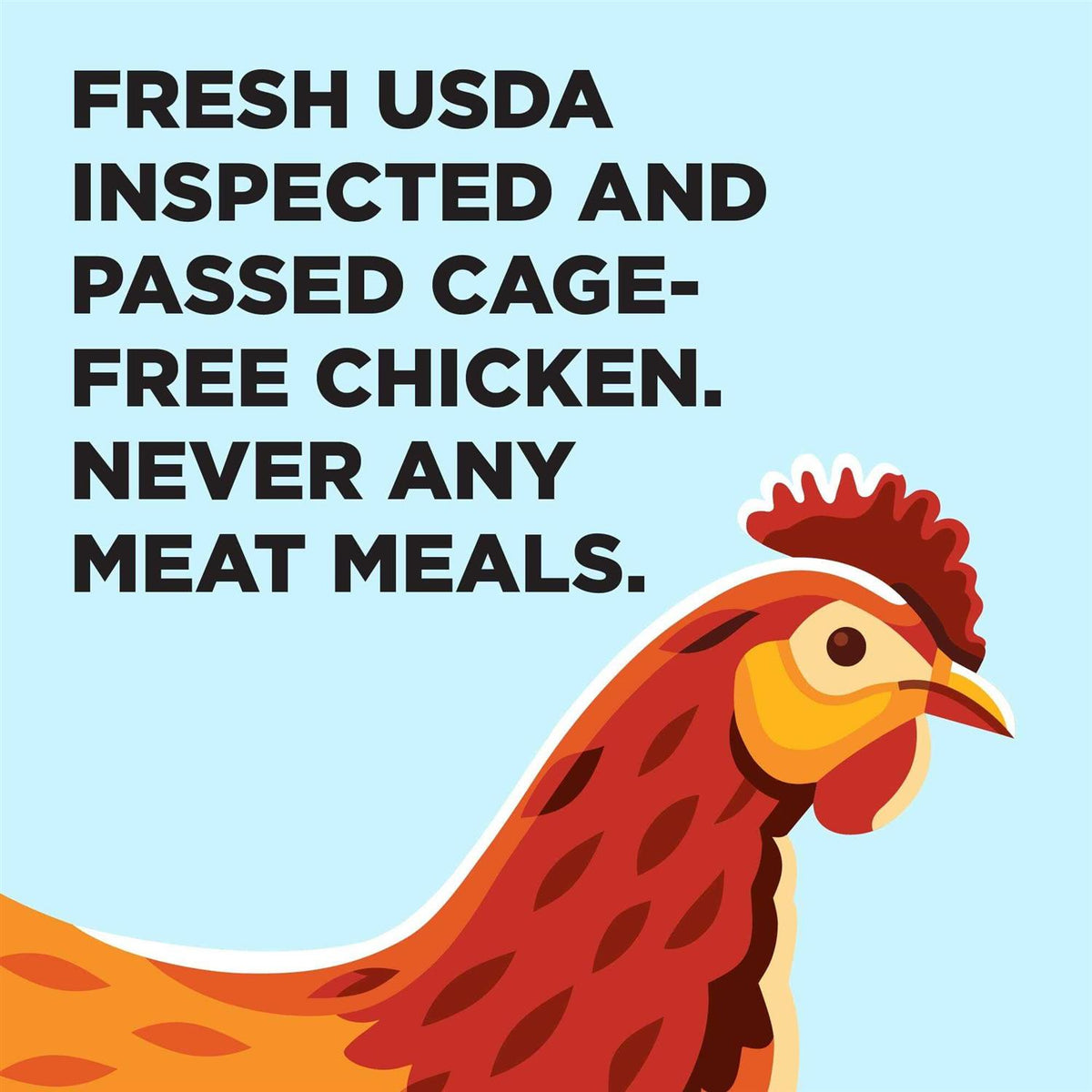 Chicken Recipe Dog Food S46206