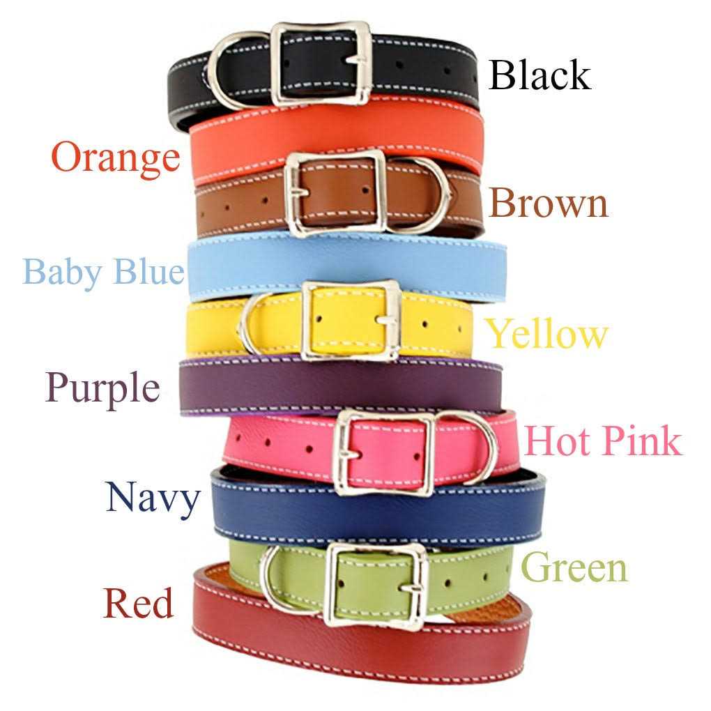 Leather Dog Collar G45760