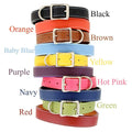 Leather Dog Collar G45760