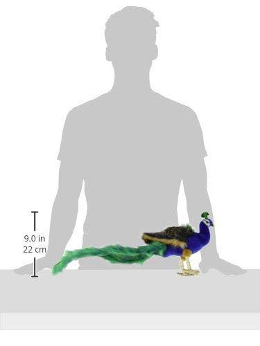 Peacock Plush Animal Toy E500791