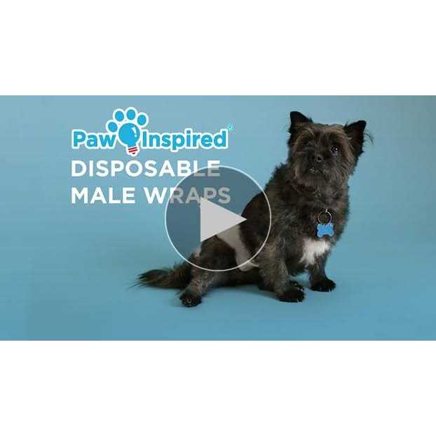 Disposable Belly Band Male Dog Wraps O5806