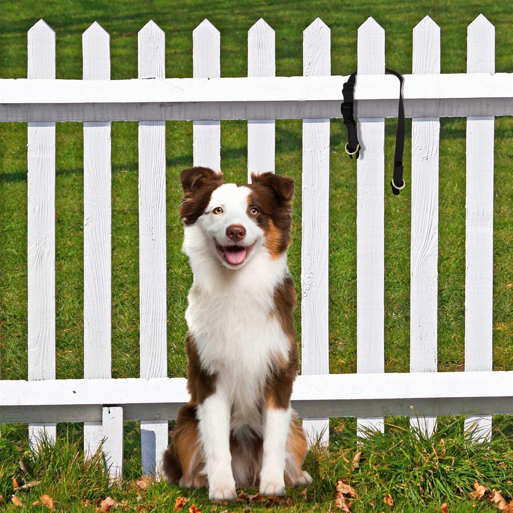 Break-Away Dog Collar X872