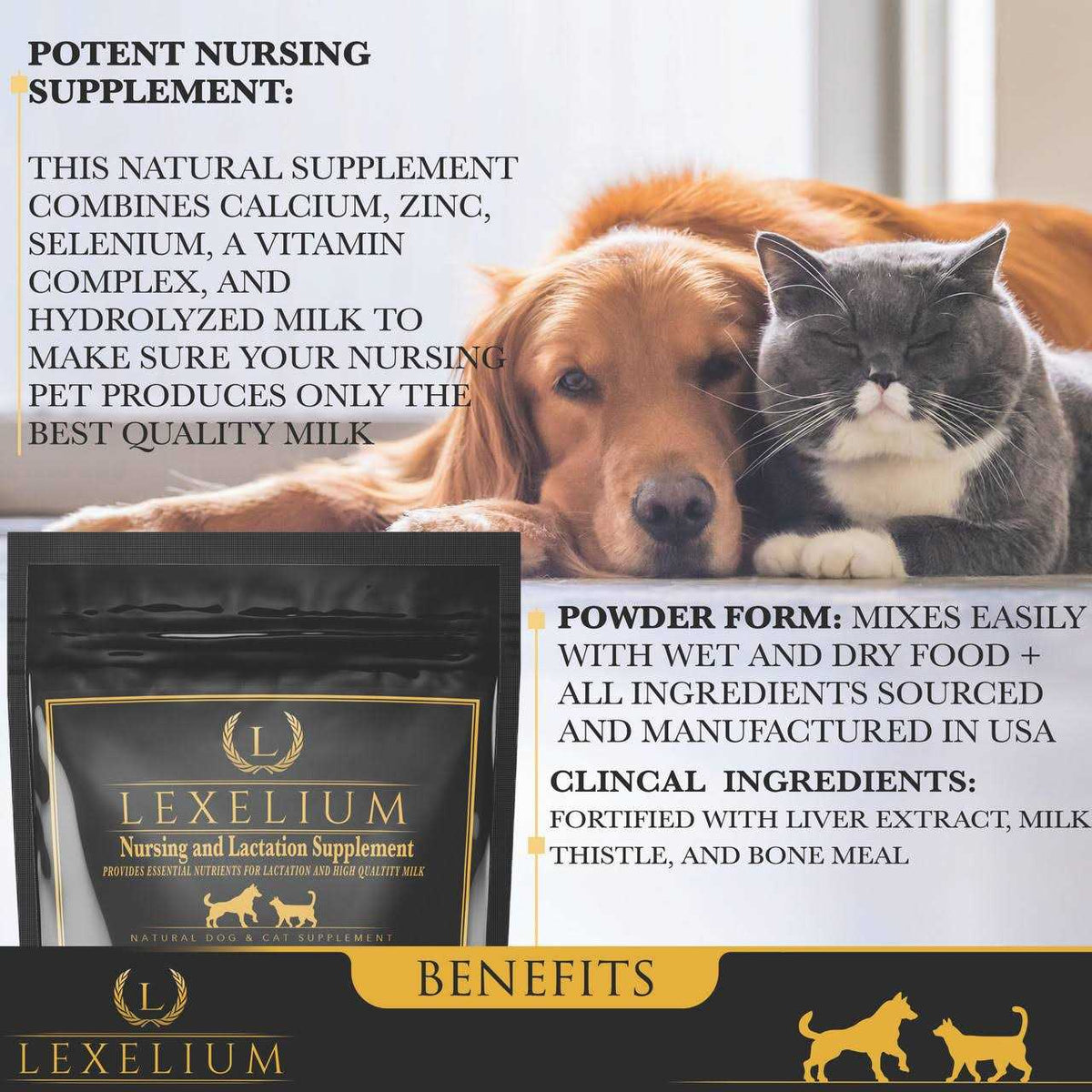 Nursing and Lactation Supplement for Dogs and Cats D607291