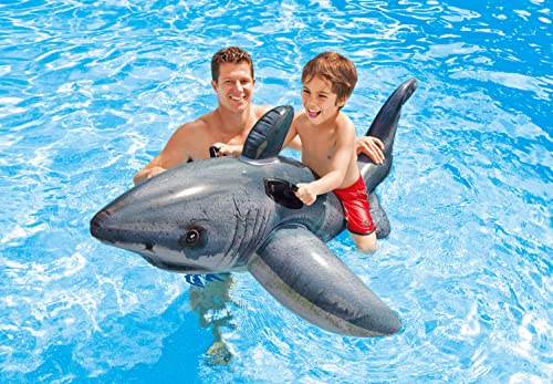 Inflatable Pool Float Z864