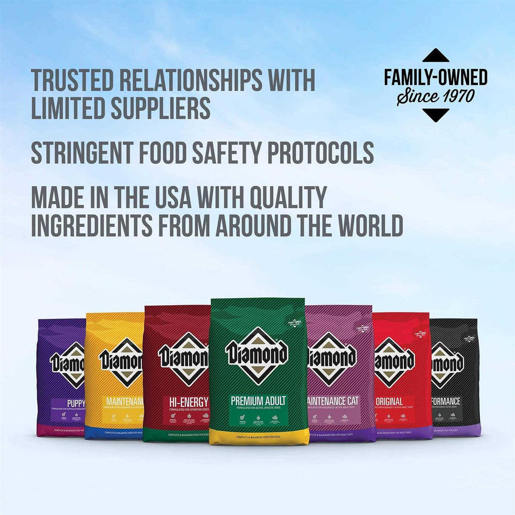 Dog Food P43028