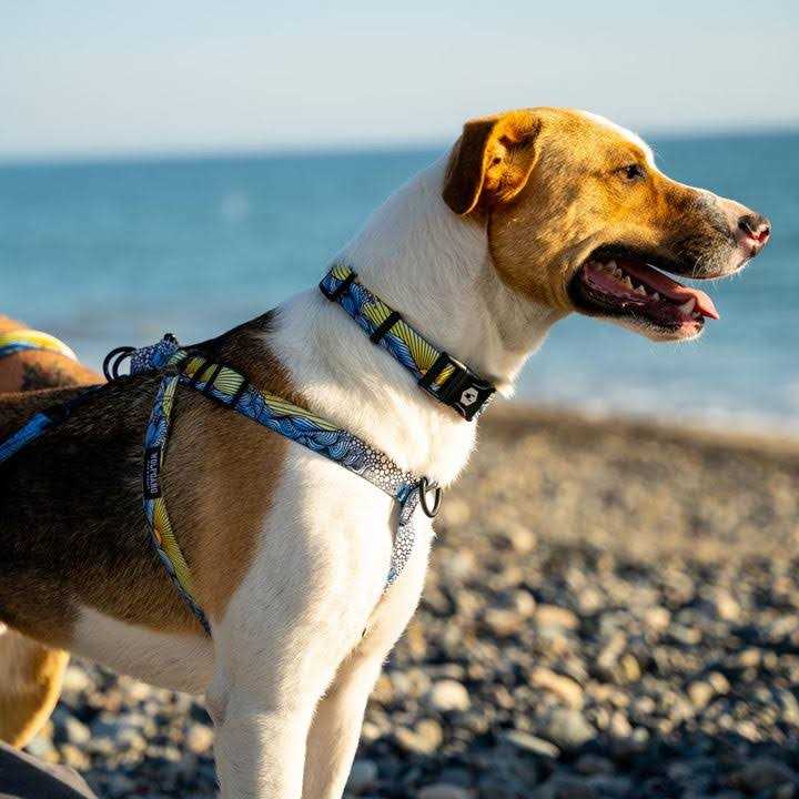 No-Pull Dog Harness L605
