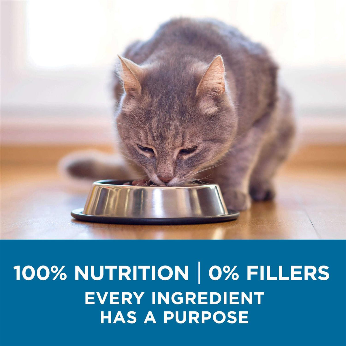 High Protein Natural Senior Dry Cat Food D54587