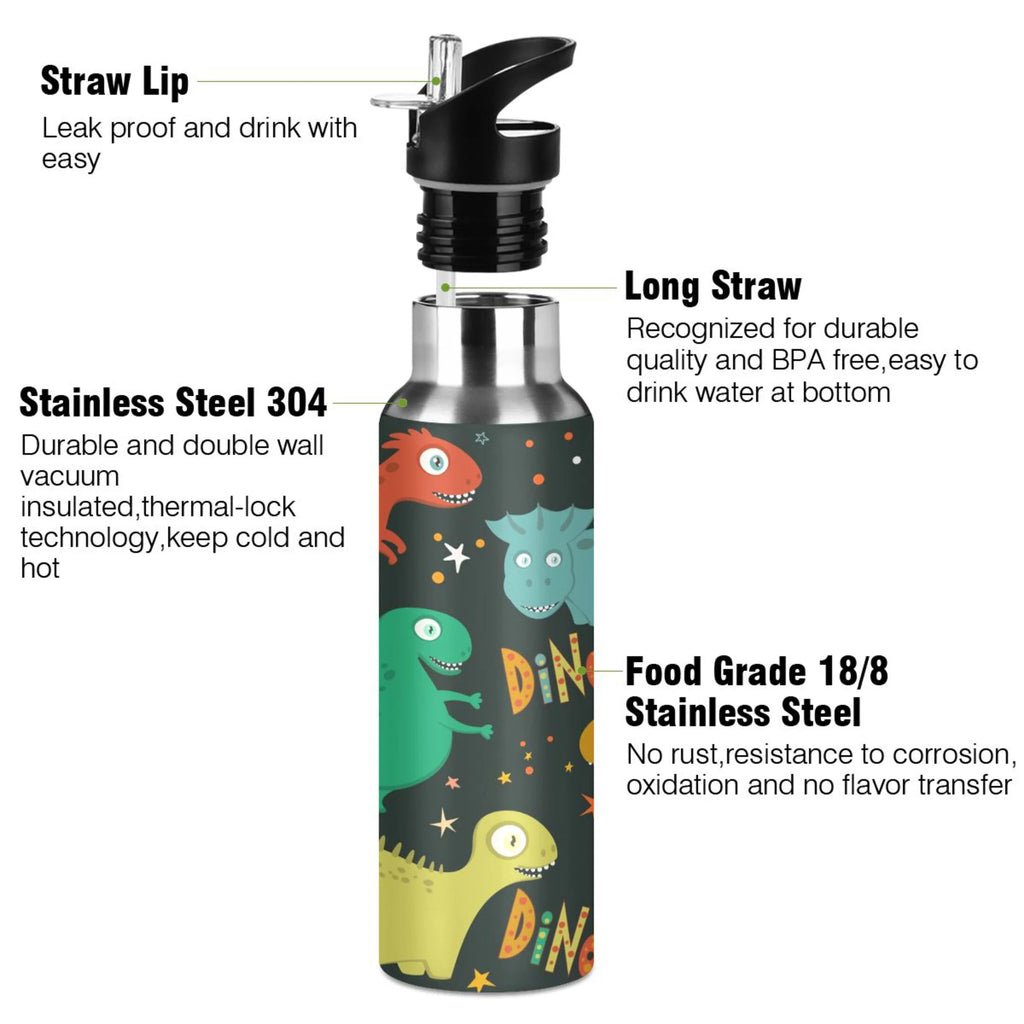 Stainless Steel Water Bottle with Straw Lid Vacuum Insulated 20 OZ N47310