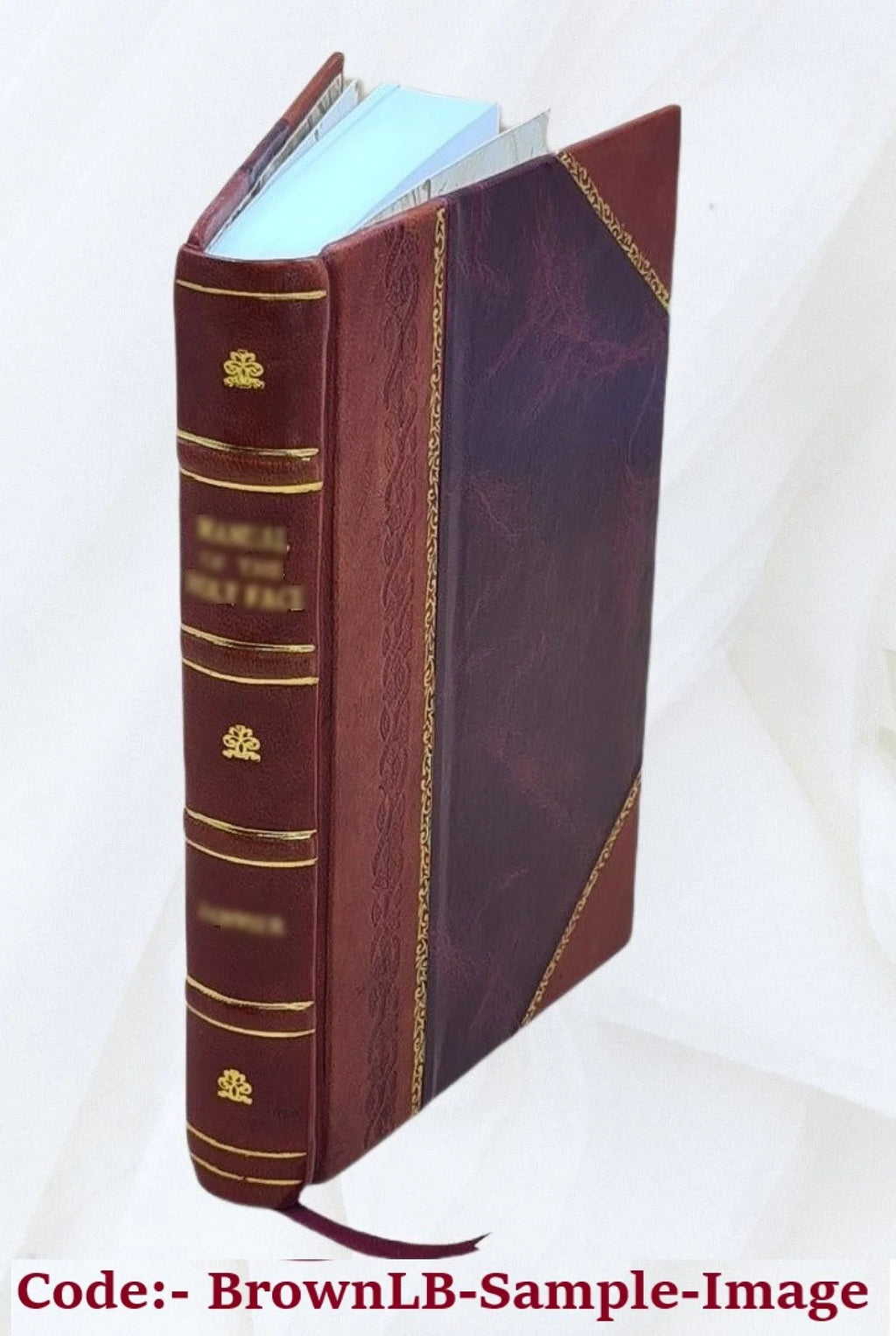 Seven Years' War Study Leather Bound D27902