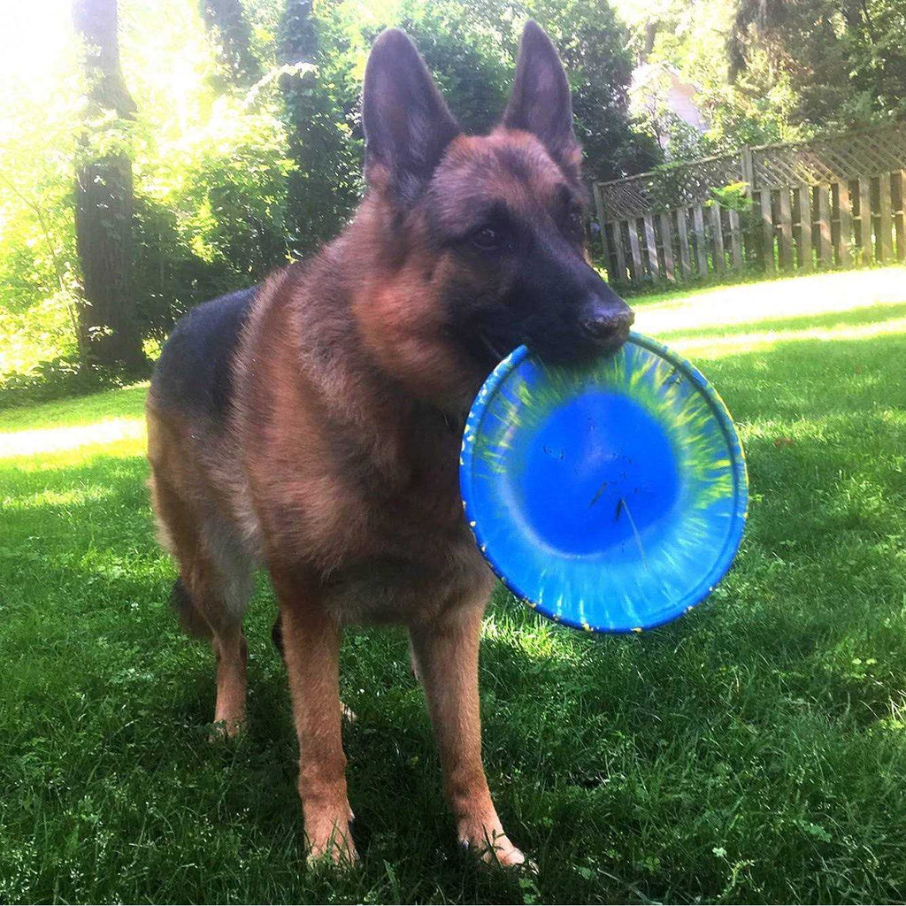 Dog Toy S40039