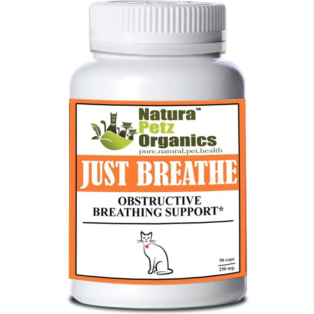 Capsules For Dogs And Cats U261