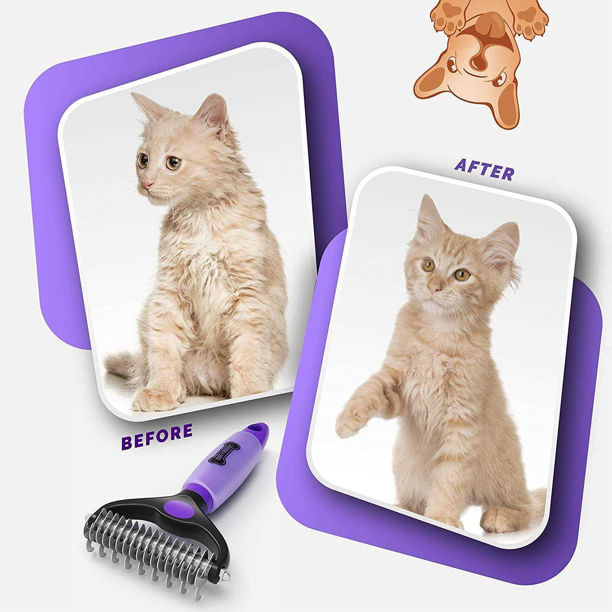 Grooming Kit for Cats and Dogs Z317