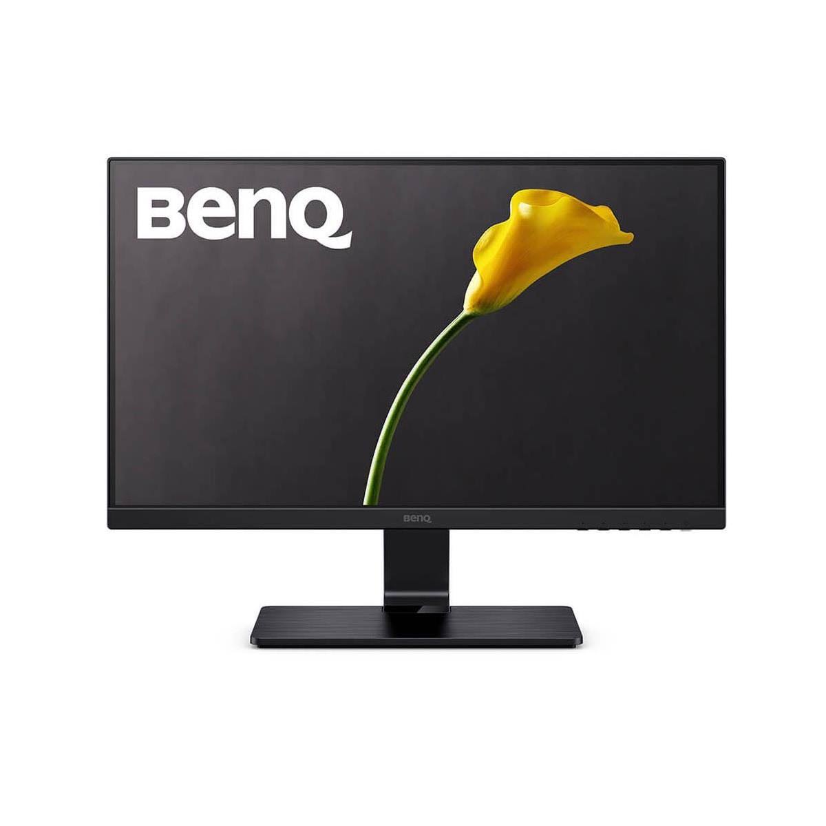 23.8 inch LED Monitor P3213