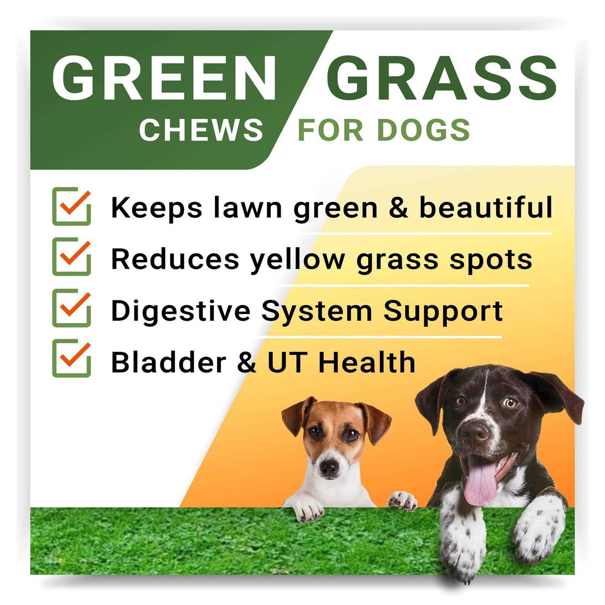 Grass Restore Treats for Dogs N41514