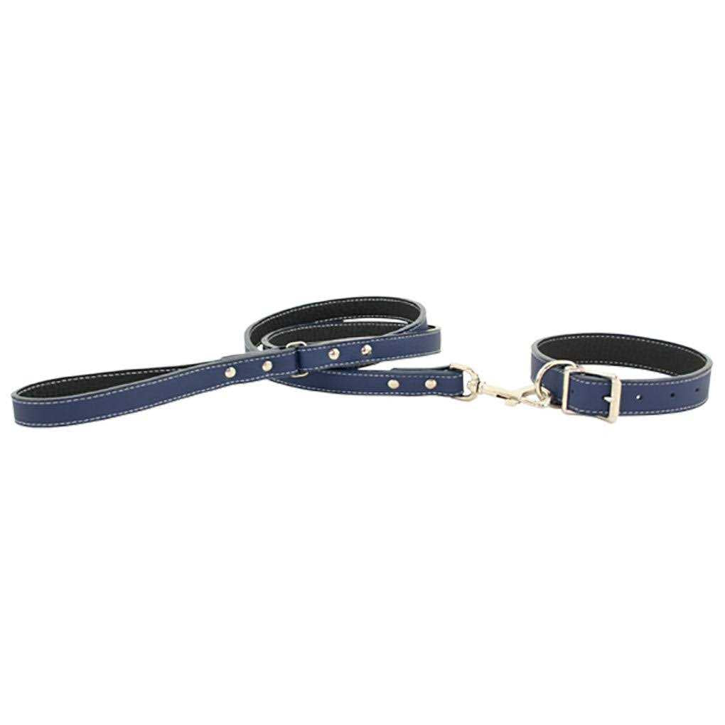 Leather Dog Collar G45760