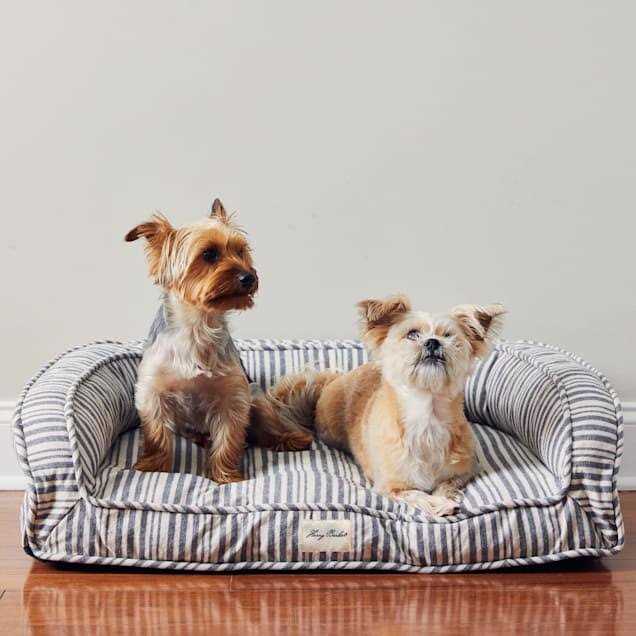 Stripe Lounger Pet Supplies P937